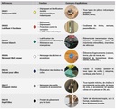 DXA02 - VUE SECONDAIRE