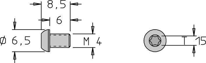 Vis tête bombée   M4  x 8.5   Torx T15 