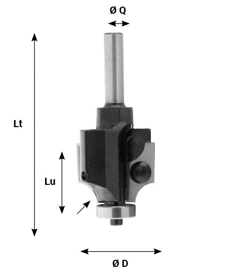 Mèche à profiler HW Brasé 1/4 de rond R6 Ø32 LC.24 LU.24 LT.80 Q8 Z2 Rlmt.à l'extrémité Rot.Droite 