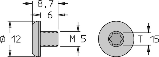 Vis tête bombée   M5  x 8.7   Torx T15 